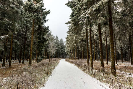 Beautiful winter landscape on the heights of the Thuringian Forest near Oberhof - Thuringiaの写真素材