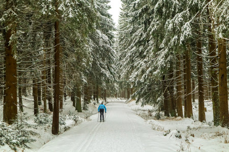 Beautiful winter landscape on the heights of the Thuringian Forest near Schmiedefeld - Thuringiaのeditorial素材