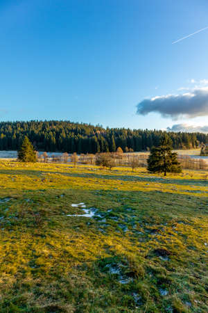 Sunset Hike along the Rennsteig in the near of Steinbach-Hallenberg - Germany