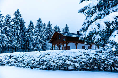 Beautiful winter hike to the mountain lake on the Rennsteig near Floh-Seligenthal - Germanyの写真素材