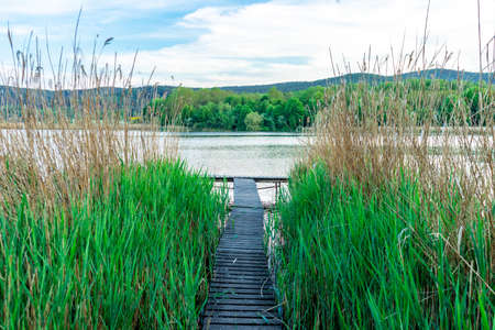 Summer walk at Breitungen Lake in glorious sunshine - Thuringia - Germanyの写真素材