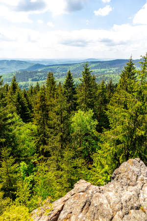 Hike to the high moor near Oberhof in the Thuringian Forest - Thuringia - Germany