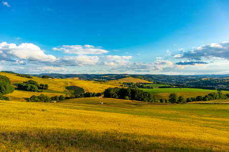 Summer walk through the beautiful nature of the Thuringian Forest - Thuringia