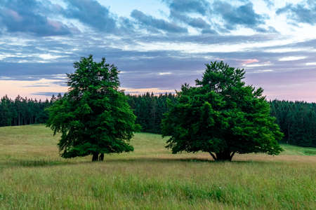Summer walk through the beautiful nature of the Thuringian Forest - Thuringiaの写真素材