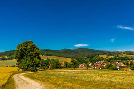 Summer Walk through the beautiful nature of Schmalkalden - Thuringia - Germanyの写真素材