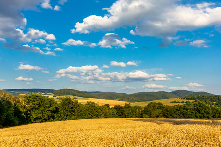 Summer discovery tour through the Thuringian Forest near Brotterode - Thuringia