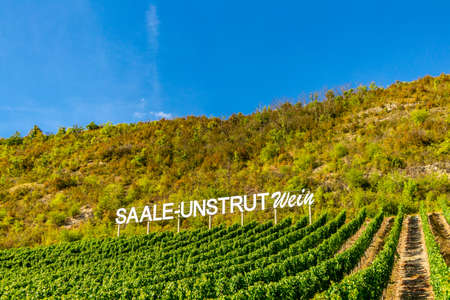 Short stop at the wine mile between Saxony and Thuringia near Naumburg - Saxony - Germanyの写真素材
