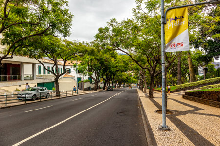 On the road in the romantic port city of Funchal on the Azores island of Madeiraの写真素材