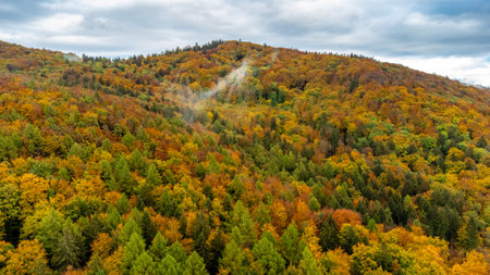Small Autumn Walk through the beautiful nature of Schmalkalden - Thuringia - Germanyの写真素材