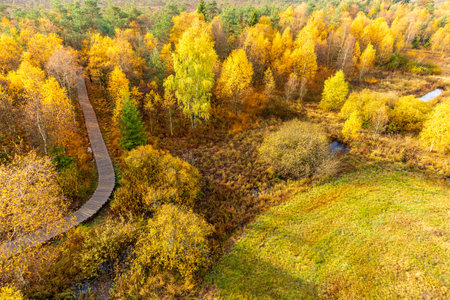 Autumn exploration tour through the RhÃ¶n in near the Schwarzen Moor - Fladungen - Bavaria
