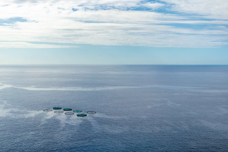 On the road on the flower island Madeira and its multifaceted landscape - Madeira - Portugal