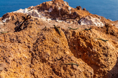 On the road on the flower island Madeira and its multifaceted landscape - Madeira - Portugalの写真素材
