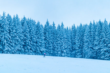 Beautiful winter landscape on the heights of the Thuringian Forest near Oberhof - Thuringia - Germanyのeditorial素材