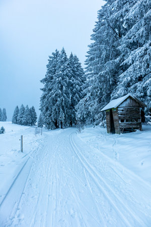Beautiful winter landscape on the heights of the Thuringian Forest near Oberhof - Thuringia - Germanyのeditorial素材