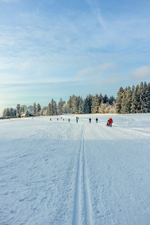 Beautiful winter landscape on the heights of the Thuringian Forest near Oberhof - Thuringia - Germanyのeditorial素材