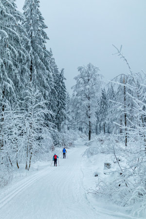 Beautiful winter landscape on the heights of the Thuringian Forest near Oberhof - Thuringia - Germanyのeditorial素材