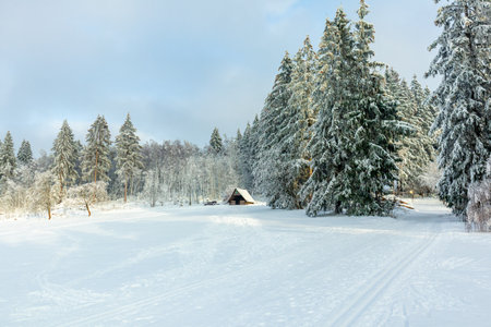 Beautiful winter landscape on the heights of the Thuringian Forest near Oberhof - Thuringia - Germanyのeditorial素材