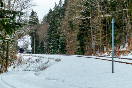 On the way with the special train Rodelblitz in the Thuringian Forest near Schmalkalden - Thuringia - Germanyのeditorial素材