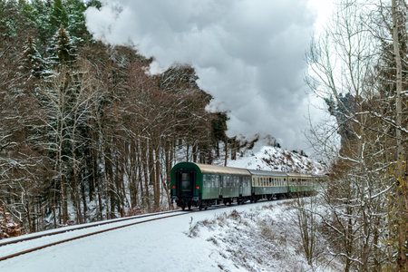 On the way with the special train Rodelblitz in the Thuringian Forest near Schmalkalden - Thuringia - Germanyのeditorial素材