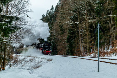 On the way with the special train Rodelblitz in the Thuringian Forest near Schmalkalden - Thuringia - Germanyのeditorial素材