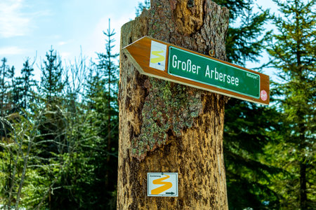 Spring hike in the Bavarian Forest from the GroÃer Arbersee to the GroÃer Arber summit - Bavaria - Germanyのeditorial素材