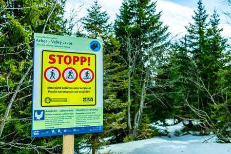 Spring hike in the Bavarian Forest from the GroÃer Arbersee to the GroÃer Arber summit - Bavaria - Germanyのeditorial素材