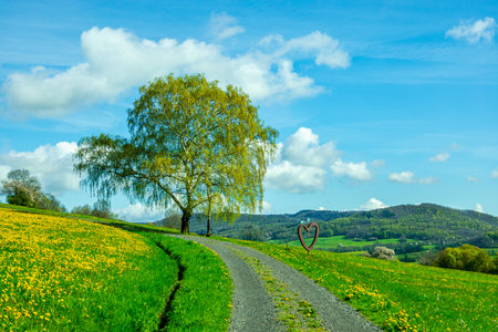 Spring hike through the beautiful RhÃ¶n mountains around the Wasserkuppe - Hesse - Germanyの写真素材