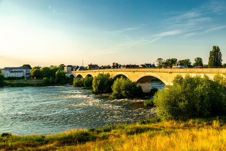 Summer discovery in the beautiful Seine Valley at Amboise Castle - Indre-et-Loire - Franceのeditorial素材