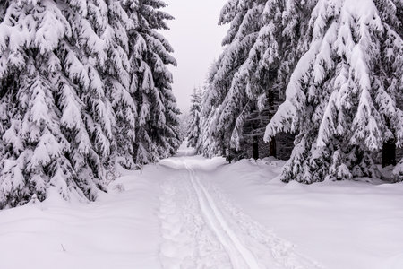 Short winter hike through deep snow in the Thuringian Forest near Oberhof - Thuringia - Germany