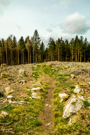 A short hiking tour from Bad Liebenstein to the Rennsteig, including the spring awakening in...
