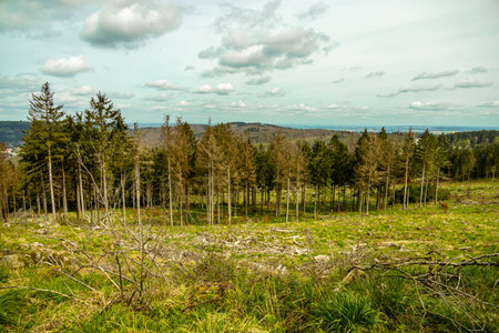 A short hiking tour from Bad Liebenstein to the Rennsteig, including the spring awakening in Altenstein Park in glorious sunshine - Thuringia - Germanyの写真素材