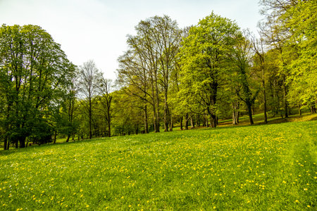 A short hiking tour from Bad Liebenstein to the Rennsteig, including the spring awakening in Altenstein Park in glorious sunshine - Thuringia - Germanyの写真素材