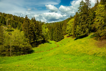 A short hike on the HÃ¶henweg trail in the town of Schmalkalden with typical April weather -...