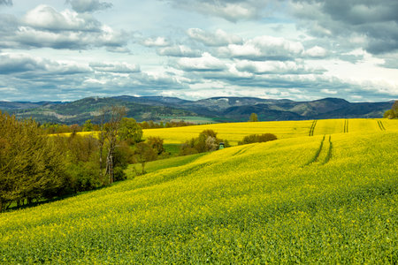 A short hike on the HÃ¶henweg trail in the town of Schmalkalden with typical April weather -...