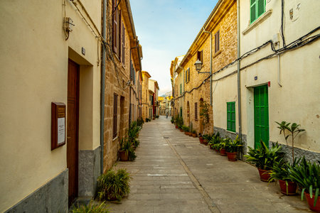 Evening tour through the ancient old town of AlcÃºdia