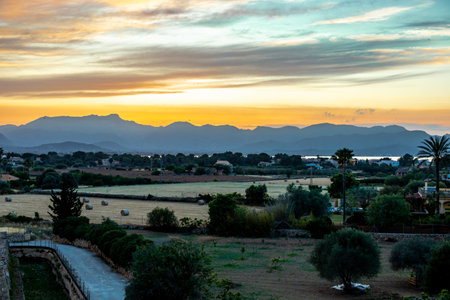 Evening tour through the ancient old town of AlcÃºdiaの写真素材
