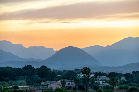 Evening tour through the ancient old town of AlcÃºdiaの写真素材