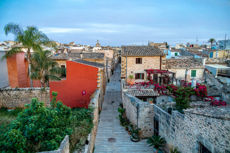 Evening tour through the ancient old town of AlcÃºdia