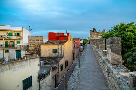 Evening tour through the ancient old town of AlcÃºdiaの写真素材