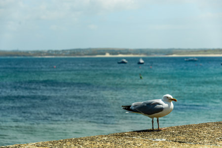 A relaxing day on the beach in front of St Ives Bay in beautiful Cornwall - United Kingdomの写真素材