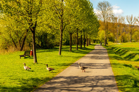 Traveling by bike on the 1st Werratal Cycle Route stage from the source of the Werra near Fehrenbach to Werratal near Wernshausen - Thuringia - Germanyの写真素材