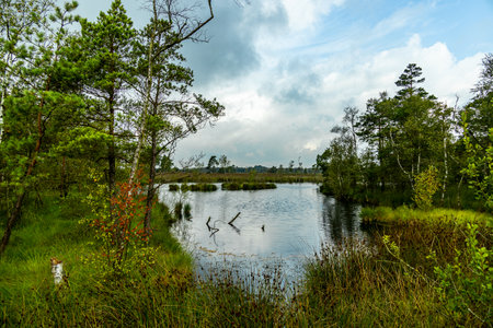 A wonderful hike through the unique and colorful landscape of the Osterheide - Bispingen - Lower...
