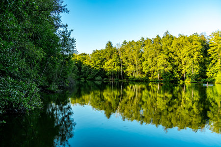 Short stopover at the beautiful Fischbacher pond near Neustadt near Coburg in Upper Franconia - Bavaria - Germanyの写真素材