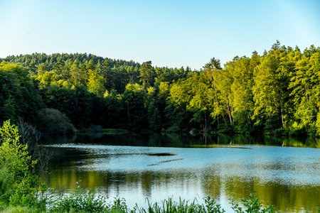 Short stopover at the beautiful Fischbacher pond near Neustadt near Coburg in Upper Franconia - Bavaria - Germanyの写真素材