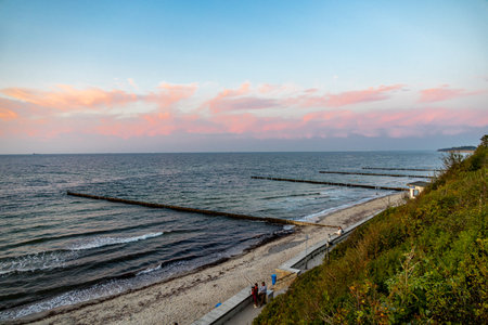 Out and about on the Baltic Sea beach of Nienhagen at the mystical ghost forest -...