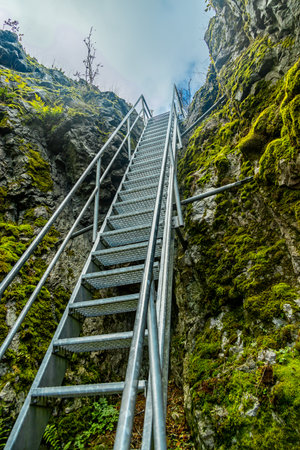Autumn hike through the beautiful Thuringian Forest over the Kickelhahn near Ilmenau - Thuringia - Germanyの写真素材
