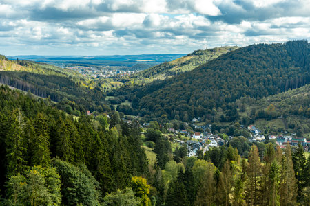 Autumn plant splendor in the Thuringian Forest - Thuringia - Germanyの写真素材