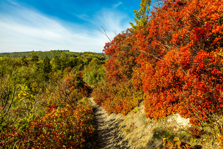 A colorful autumnal hike through the beautiful landscape of the Saale Horizontale near Jena - Thuringia - Germanyの写真素材
