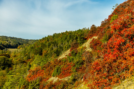 A colorful autumnal hike through the beautiful landscape of the Saale Horizontale near Jena - Thuringia - Germanyの写真素材