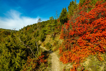A colorful autumnal hike through the beautiful landscape of the Saale near Jena - Thuringia - Germanyの写真素材